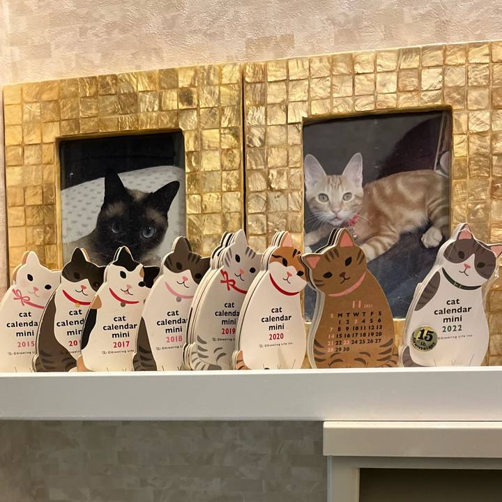 Ab0b8490 6ac2 4b53 891a fcc4db78304e 1635735585420