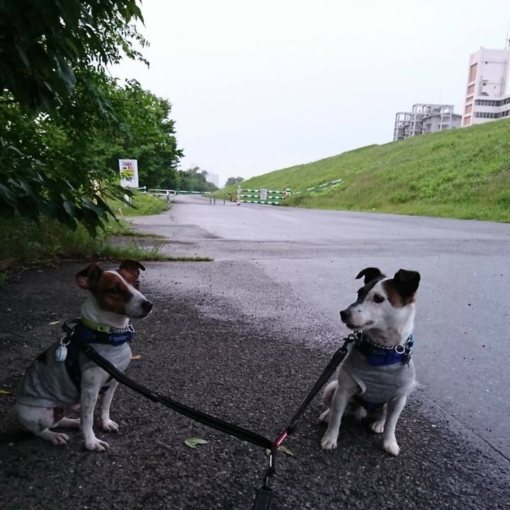 Ab0b8594 4261 4579 9d33 eb7a5aff2a5b 1563190849309