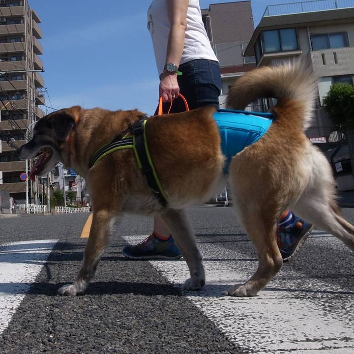 Ab0b8d77 3e23 4d10 a636 5528c5e4bd47 1585960594209