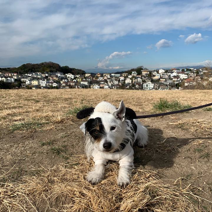 Ab0bba9e a078 4e63 9676 742ba062ad8b 1705283611149