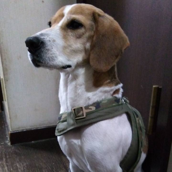 Ab0bc08a c252 4865 8766 a955ecf10d7c 1677506778803