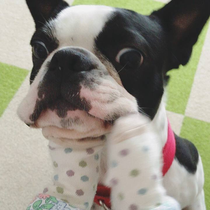 Ab0bc8b3 35be 4e66 bd08 bcf99159edb5 1522118965909