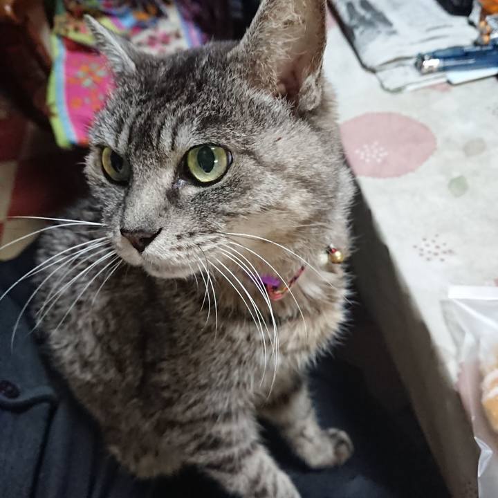 Ab0be916 5ab7 497e bf74 f74b73ce2daa 1578474289782