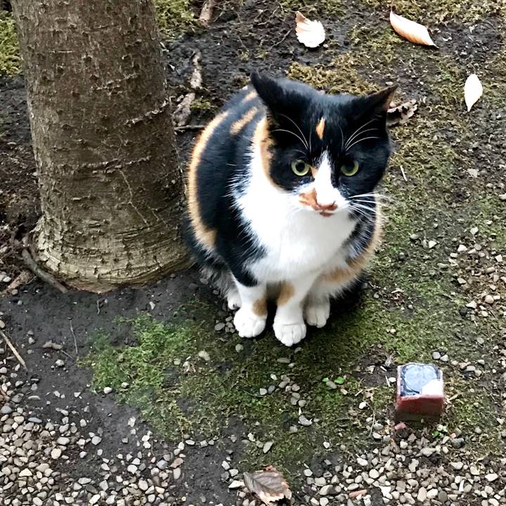 Ab0c02f1 59c4 4801 863e a5956ac20d46 1512020143768