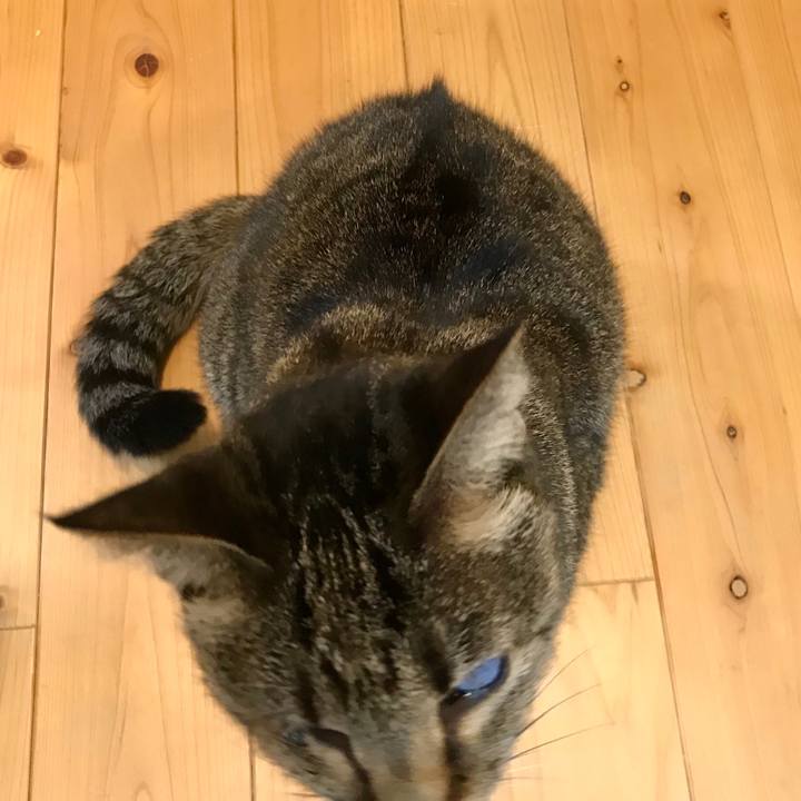 Ab0c38b3 b010 49d7 8adc 4a2fe82d3fd4 1583196132203