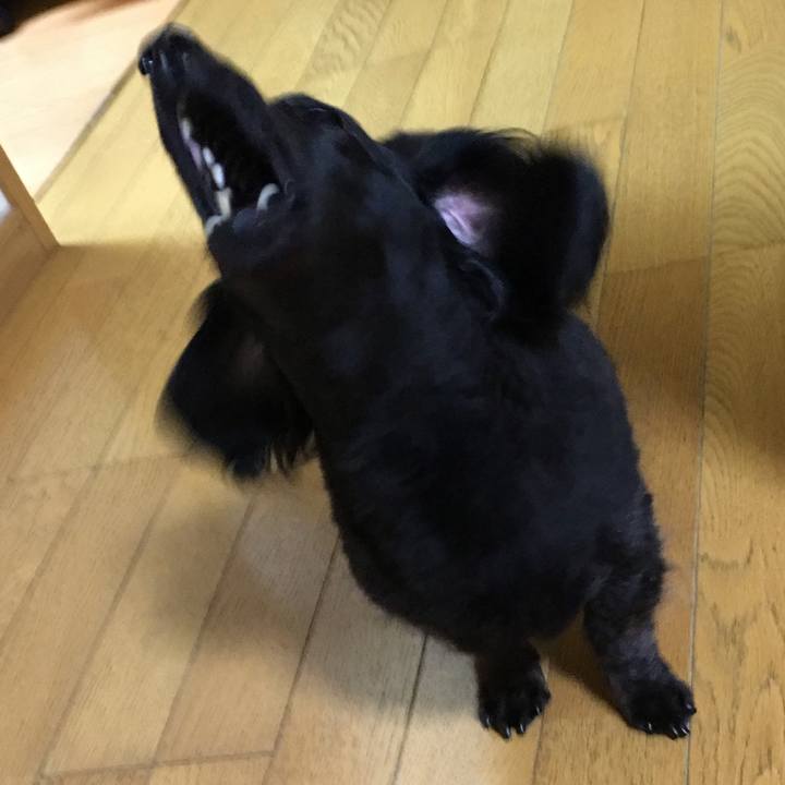 Ab0c47c7 7295 424b 94ea 8aaf18219478 1518476486980