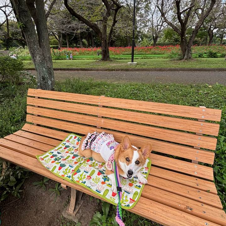 Ab0c654b df65 4fdb 8242 1598c1f75f9f 1759637880539