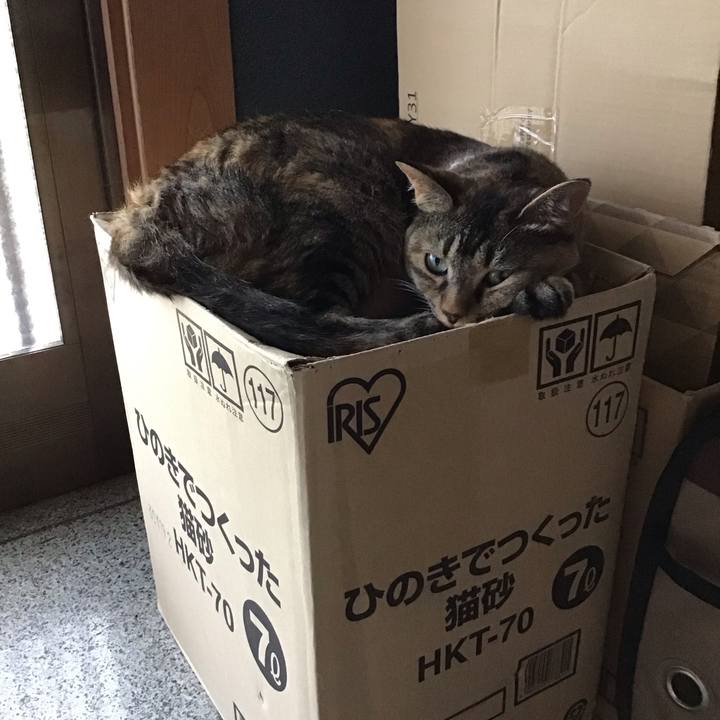 Ab0c6e40 d86f 48e4 b54d 5e67b0bfd381 1690028199711