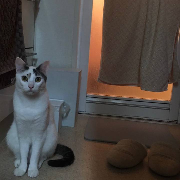 Ab0c6eb3 e601 459d adb4 c20f6b7a496e 1614320520664