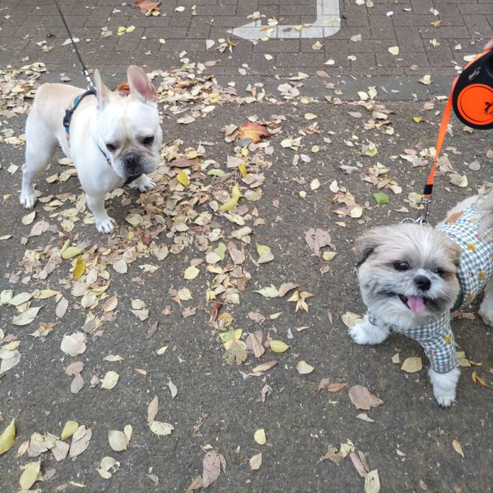 Ab0c707e 6f47 4c74 a6c8 7d94320aa41f 1762507381257