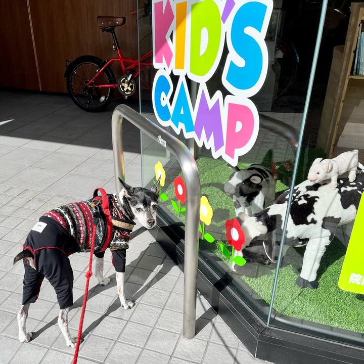 Ab0c8ec9 1547 43c1 bf2e 8cc07aae3bf2 1650069261941