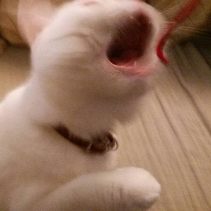 Ab0ca268 9064 4f36 837b 4a9b4964da54 1508227920786