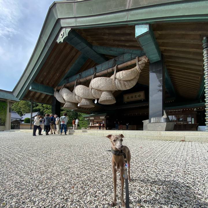 Ab0ca4b8 3077 48da 85b0 fcbf66a0d201 1759220605372