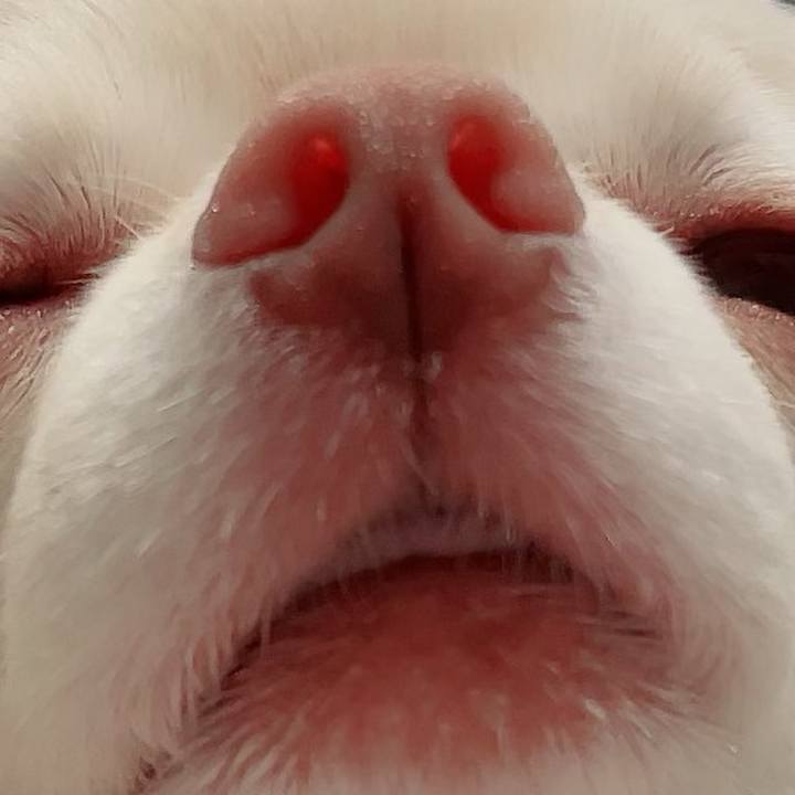 Ab0cb4ad 45ff 4937 ab51 9f97ebf98254 1689850574551