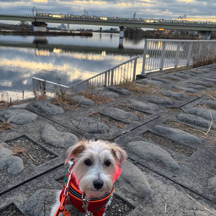 Ab0cbeee bb0d 4415 91a1 a3fe17f8d848 1767218005516