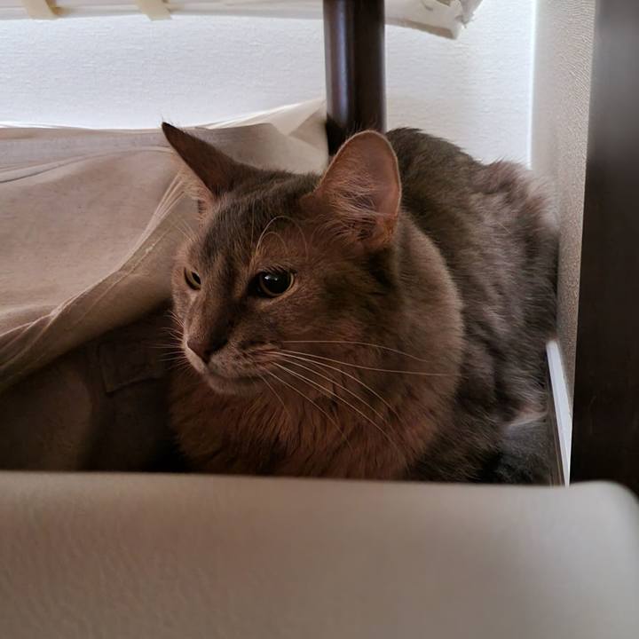 Ab0cbfbc c80c 47f3 9810 219f9f2d011c 1690615234463