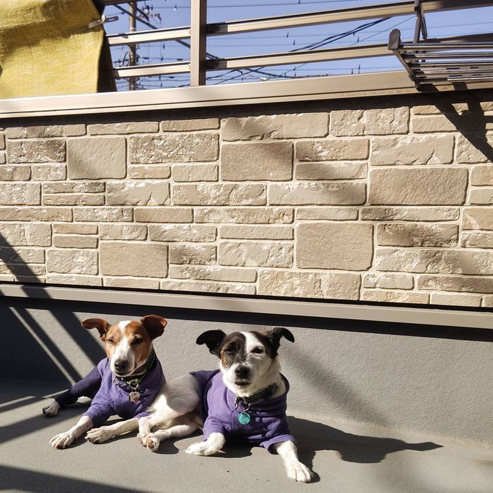 Ab0cc3da 4b80 4ea9 8378 d7a00dad8fe1 1762521949965