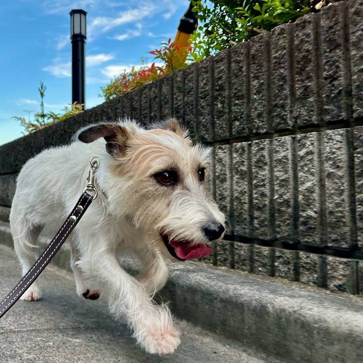 Ab0cca09 ee30 4331 b5f7 5a1000f422d4 1759435870759