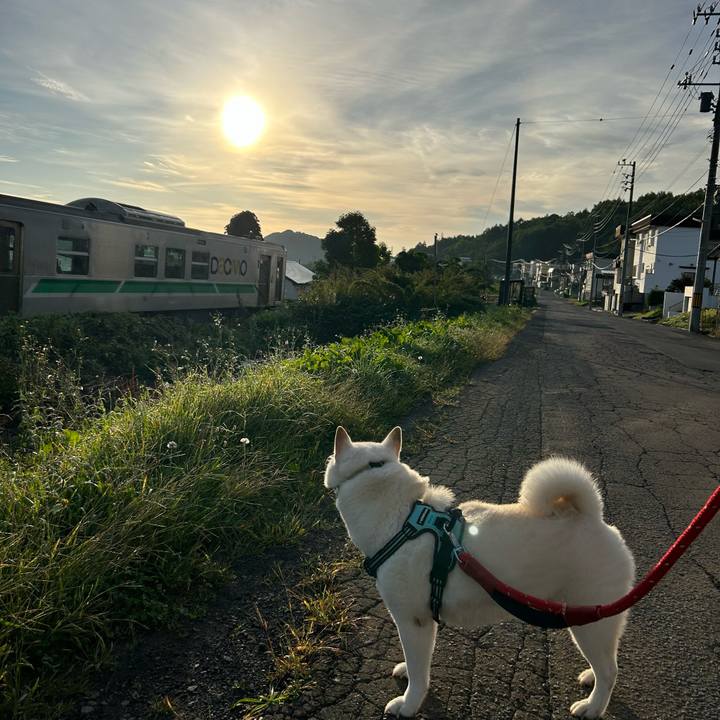 Ab0d25bb 974f 493b aab5 1f59ff86de38 1694901196417