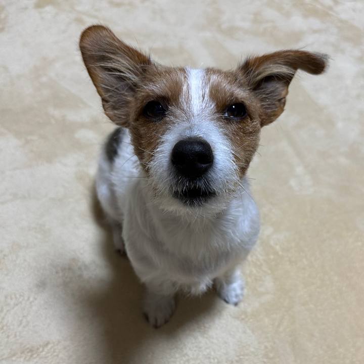 Ab0d3fc9 2b64 4ecd 8a37 659ec9e7a856 1764192171316