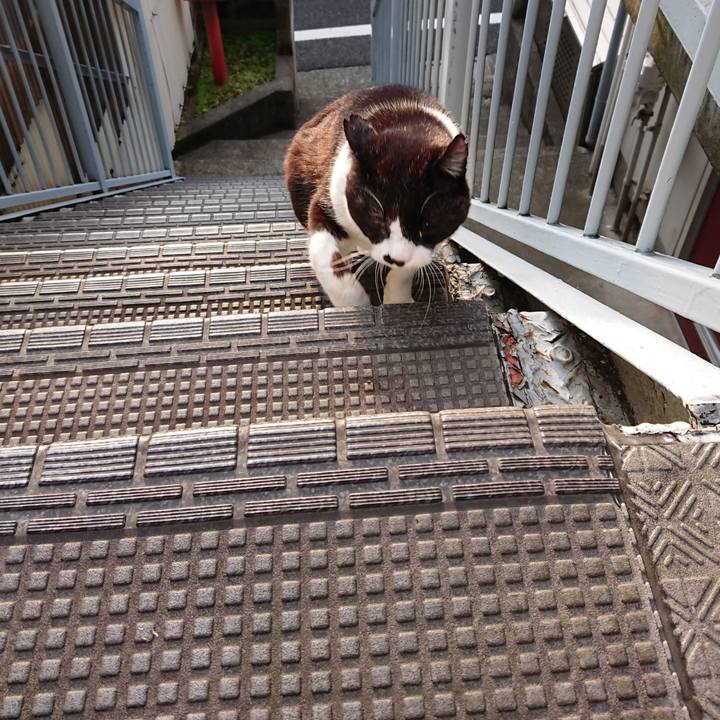 Ab0d4917 996c 4796 b46c d0496ef7d99b 1649289342565