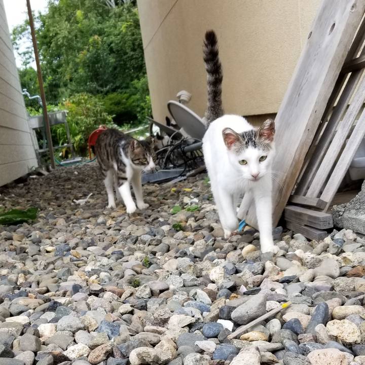 Ab0d5569 d4b8 4a47 a43a b8374dec9836 1660910029351