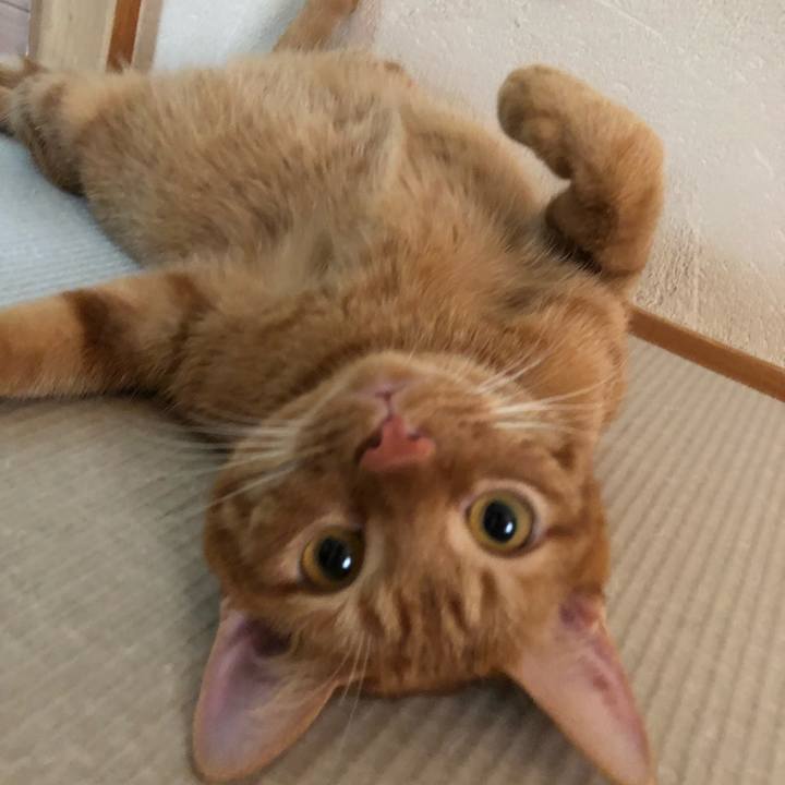 Ab0d789b 2d10 46e4 a08a bf06ceb4b9f9 1535698331934