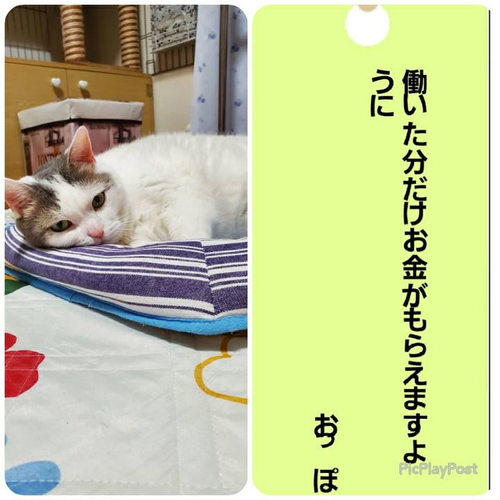 Ab0d7a1f 0798 4eb3 b08f a7bdaaccced9 1594136491233