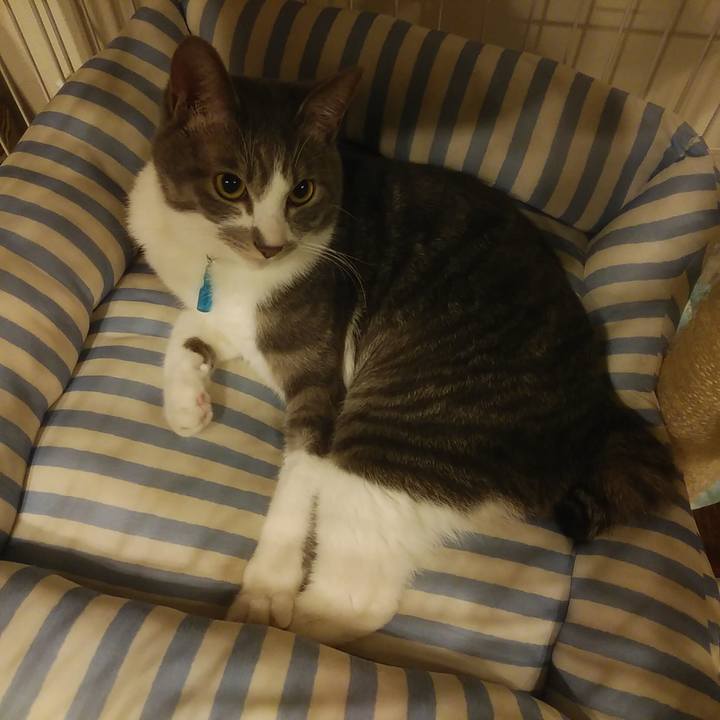 Ab0dc653 6f90 40d2 8091 439f771560fc 1587654269539