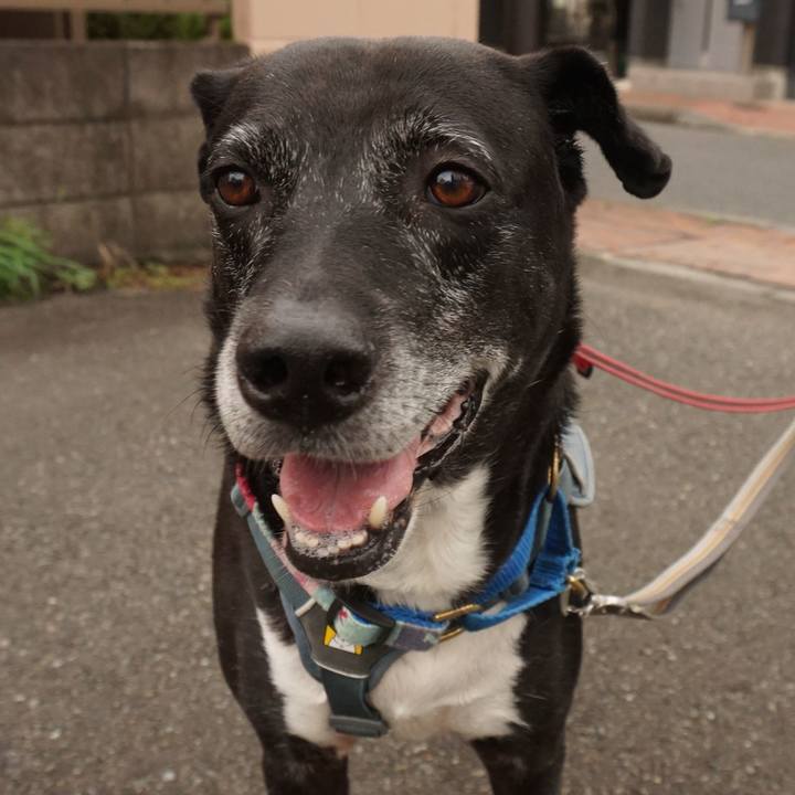 Ab0ddde8 0351 42c3 b67d 640e19a98f51 1754956572330