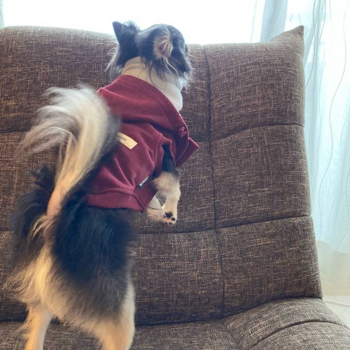 Ab0e1b67 d222 4cff adee 951e62b07598 1711277399599