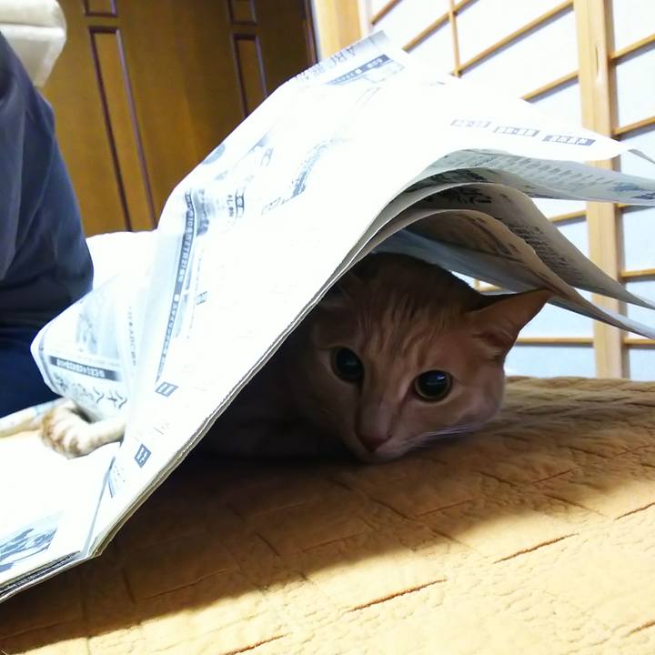 Ab0e619e 13d1 4885 bdff 5262b4c35d14 1582452767423