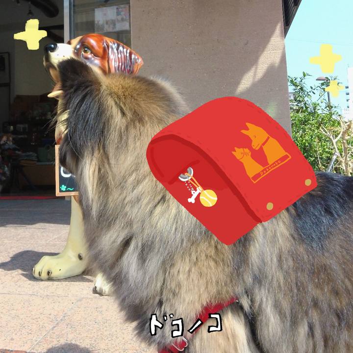 Ab0eab5e 1e39 4bb0 aeed 02d3c2c008be 1744789628887
