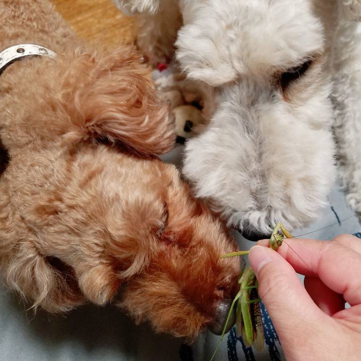 Ab0ed8a5 c690 4317 88f7 159fd2e1a478 1569154255946