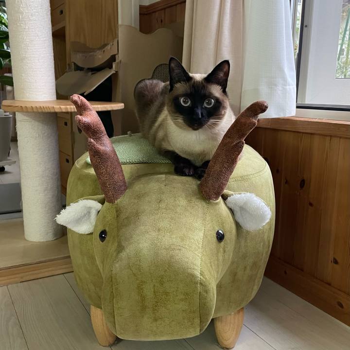 Ab0ef5f2 a861 4ad7 8570 2c41de0b0db0 1752183821461