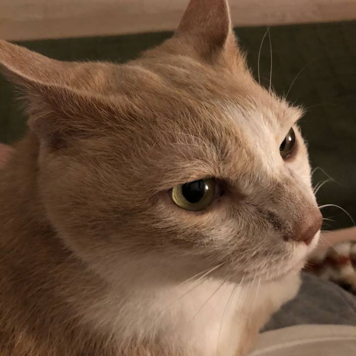 Ab0efc65 73fc 4b10 b496 31718b510706 1621249522685