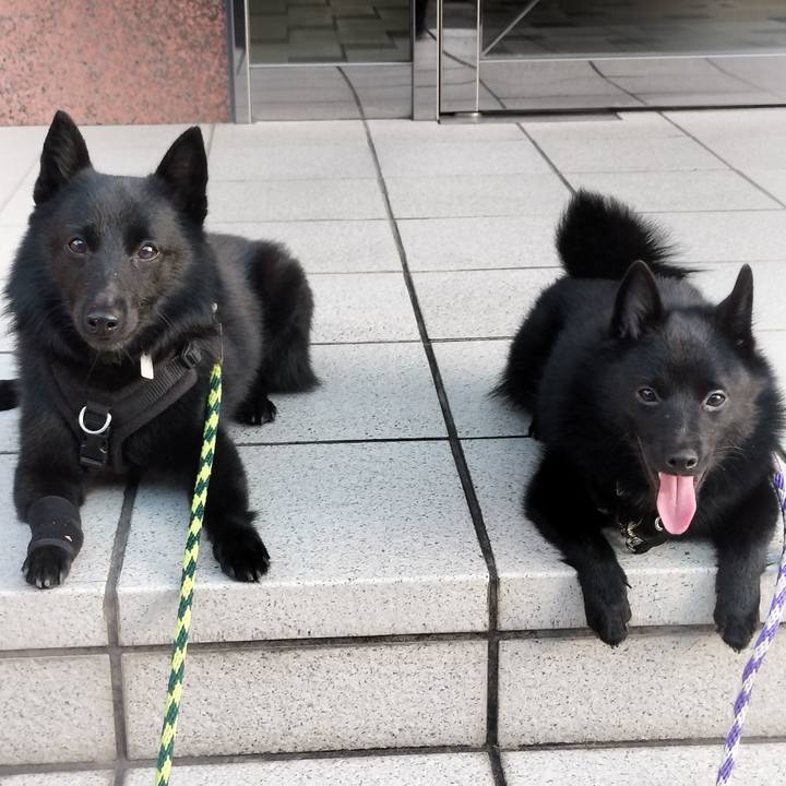 Ab0f3c5f 8d20 4959 a09b 3742d1de6b10 1761257537178