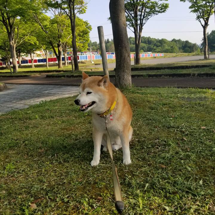 Ab0f6146 9022 42ea 82a4 3f897919fab3 1684311571942