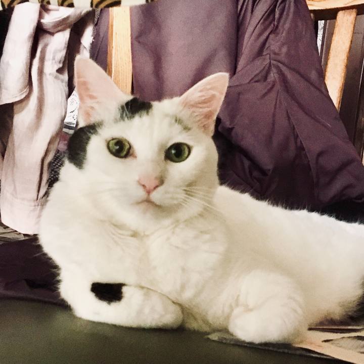 Ab0fa604 ee56 48fd 97c4 62bd918598f2 1564037985572