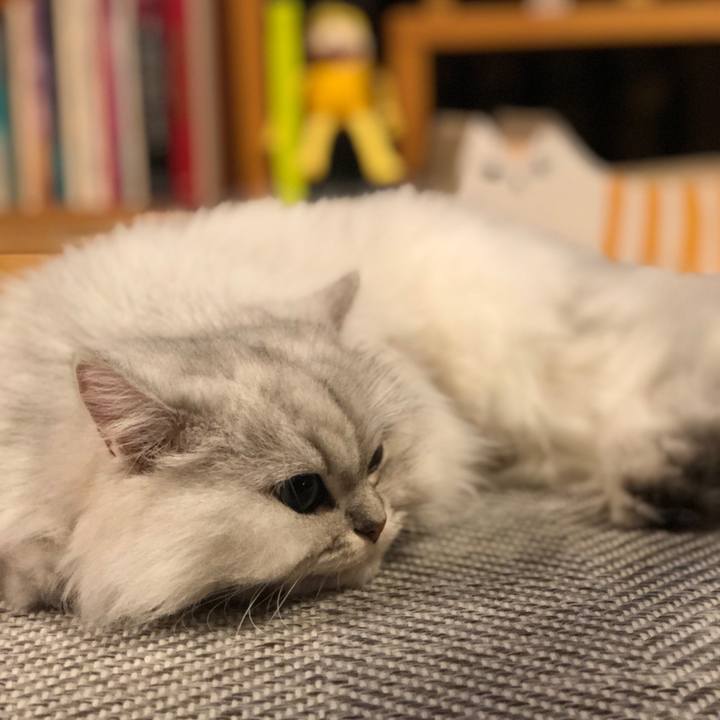 Ab0fae41 cbb8 486e a115 97c15d0ead01 1571397354133