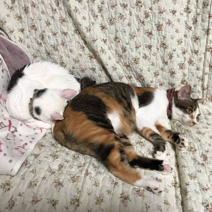 Ab0fd7e1 dc05 4841 b20c 785de0fc460a 1636009981264