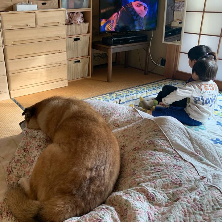 Ab1055fb 4bfd 4921 9d64 8db55cb21e22 1637477457590