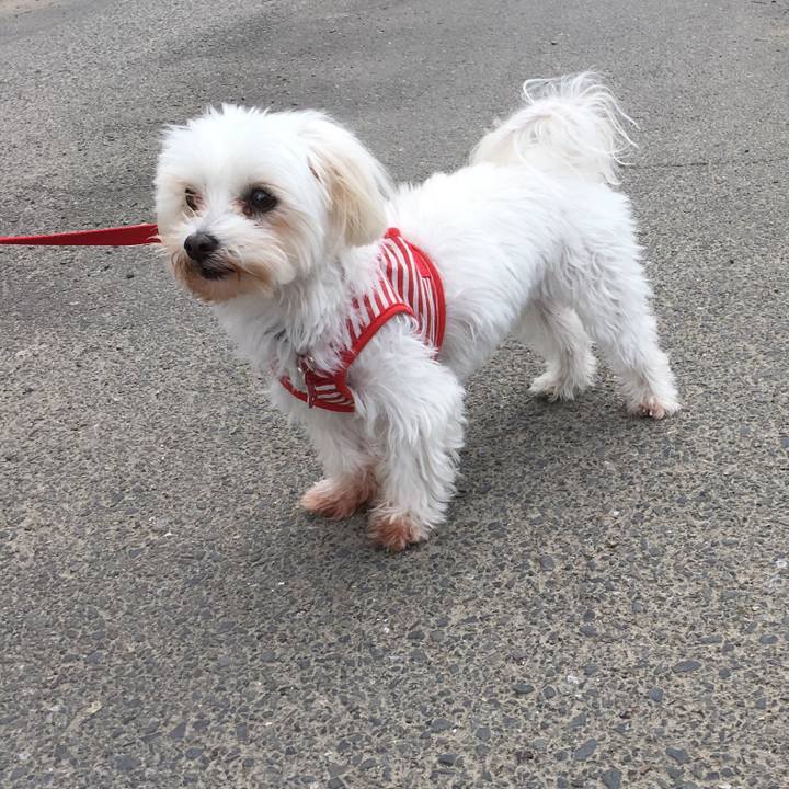 Ab105852 fcaf 45ca 9bb3 11940f22c595 1510388693702