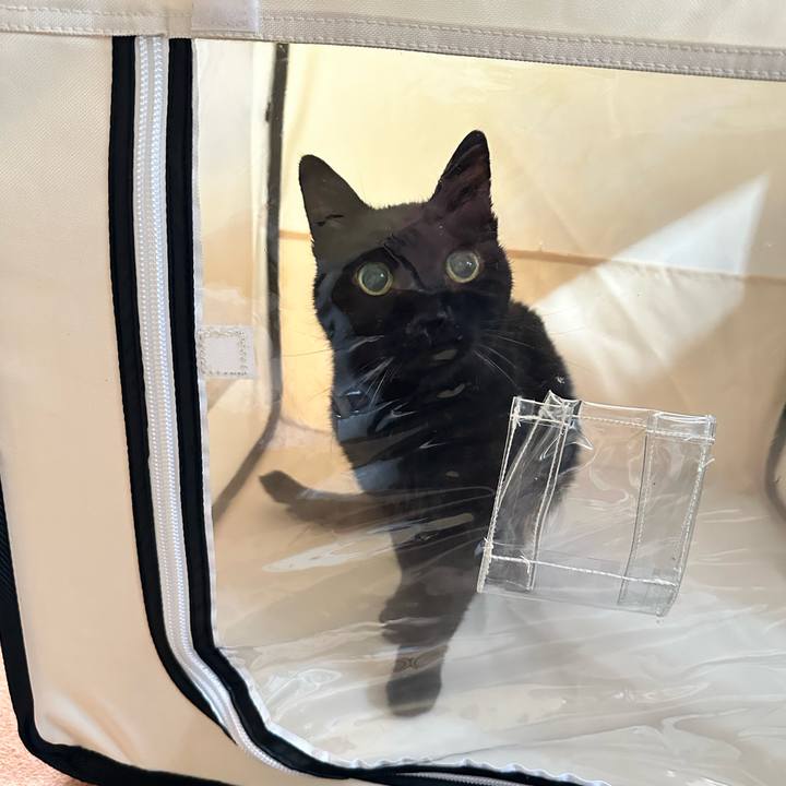 Ab107683 af73 4330 9334 5bf7f11be7b5 1702428753331