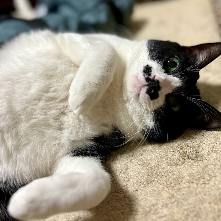 Ab10834a cad4 4495 9ad5 d0e9aa628d34 1760707097366