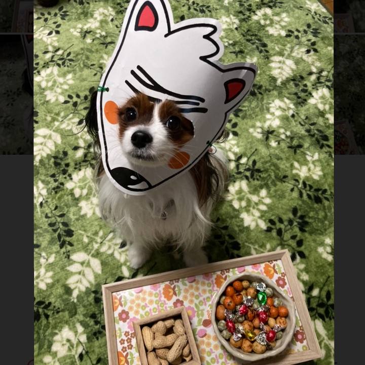 Ab10d54c 549e 4a05 afec ce9421a19176 1643874158416