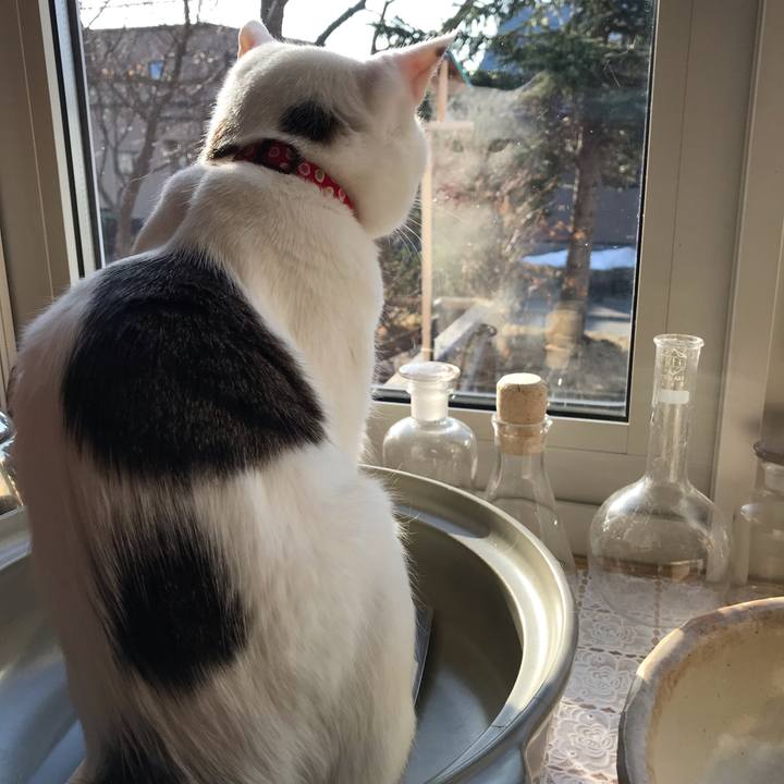 Ab10de44 7b0a 4dea a316 450580179508 1555451114882