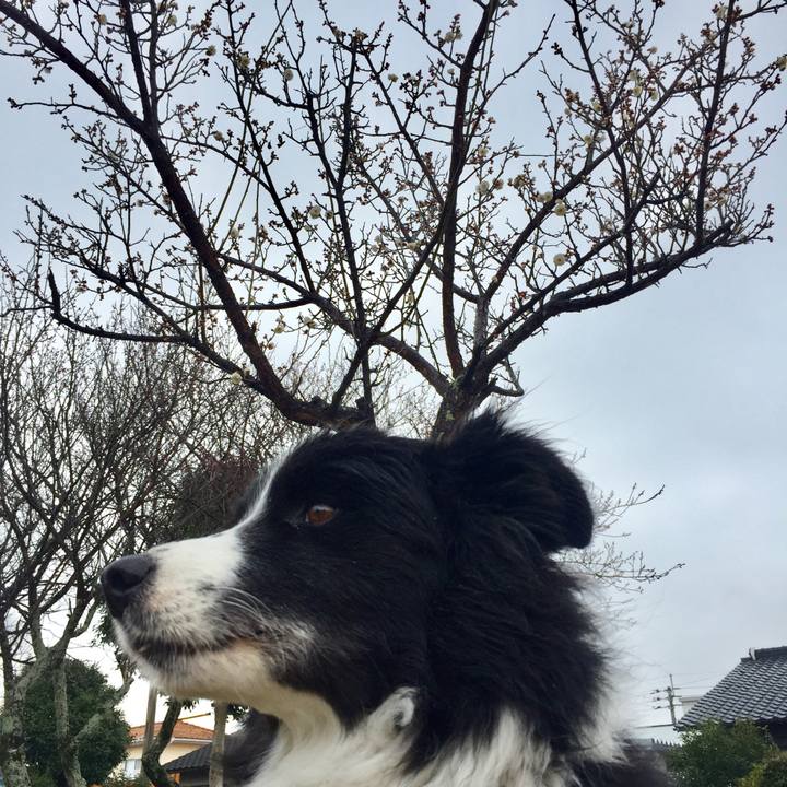 Ab11007c dde8 436c aad4 951b991d0726 1579397071684