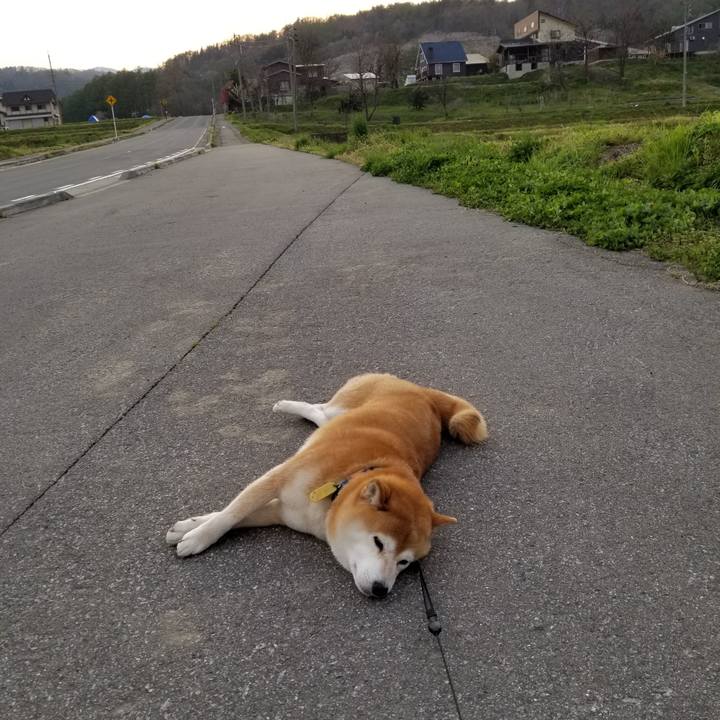 Ab111279 8c5a 4fef b0b2 2c47c77aaad4 1588150776480