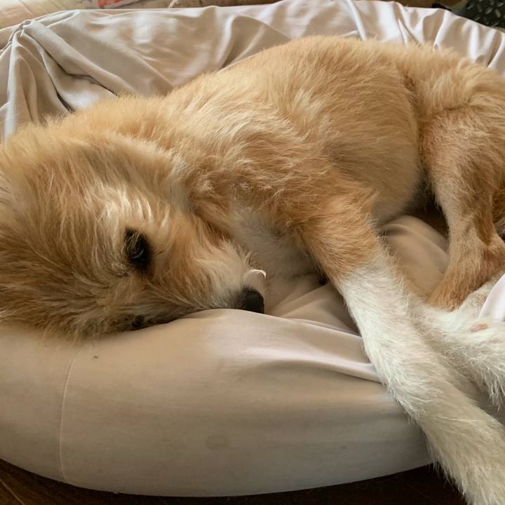 Ab113869 26b2 4561 9015 422a6cc312e5 1566688413447